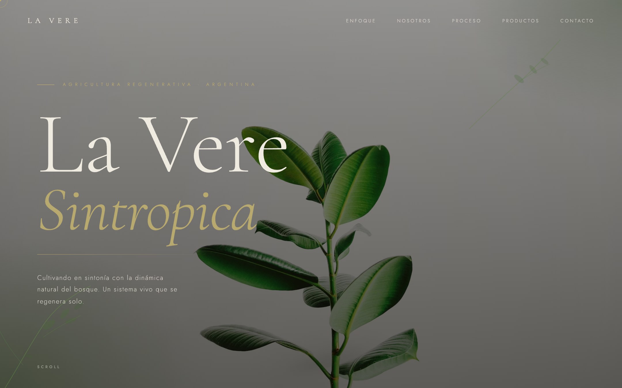 La Vere — Cover con paleta tierra