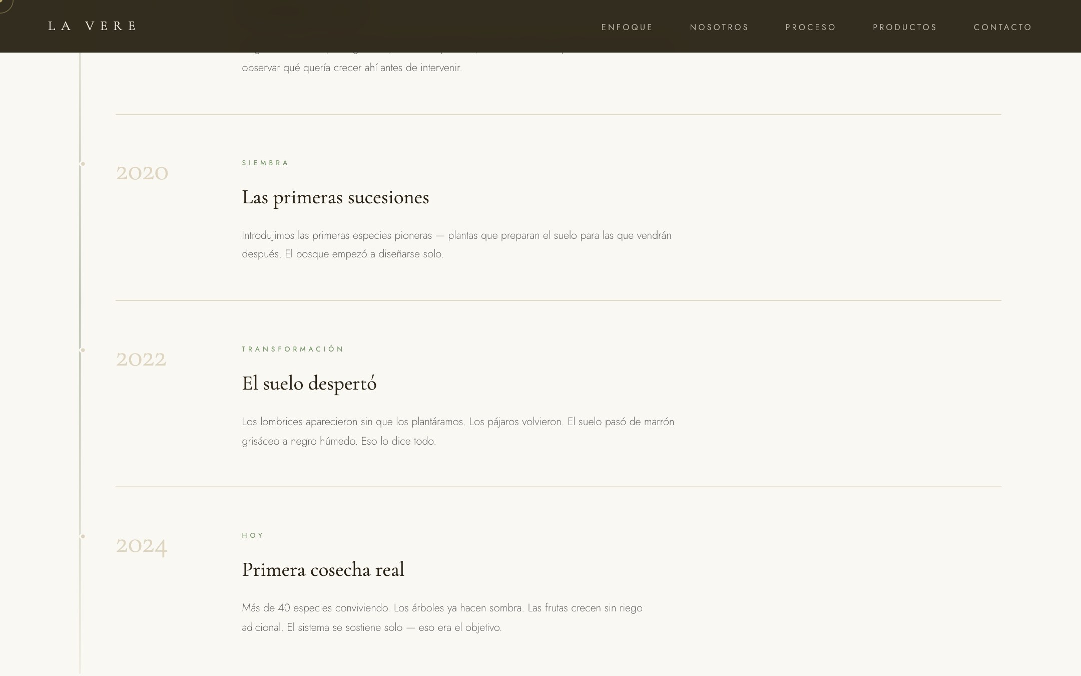 La Vere — Raíces del proyecto